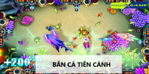 ban-ca-tien-canh