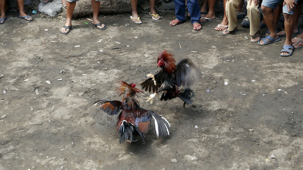 da-ga-philippines