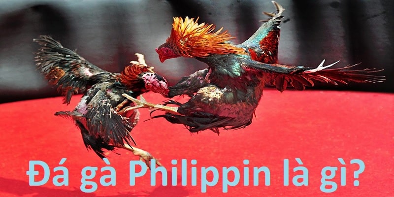 da-ga-philippines